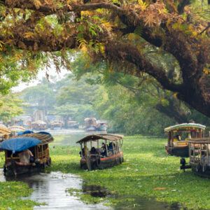 Munnar – Thekkady - Alleppey (04 Nights / 05 Days)