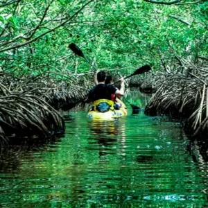 Andamans - Iconic Nature 6 Nights / 7 Days (3N Port Blair with Barathang + 2N Havelock Island + 01 N Neil Island)