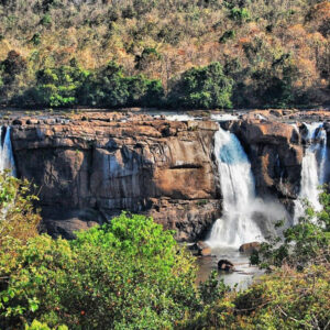 Munnar – Thekkady – Alleppey - Cochin (05 Nights / 06 Days)