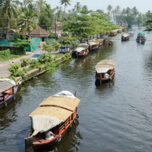 Munnar - Alleppey (03 Nights / 04 Days)