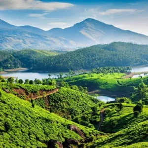 Munnar – Thekkady – Alleppey – Kovalam - Kanykumari (07 Nights / 08 Days)